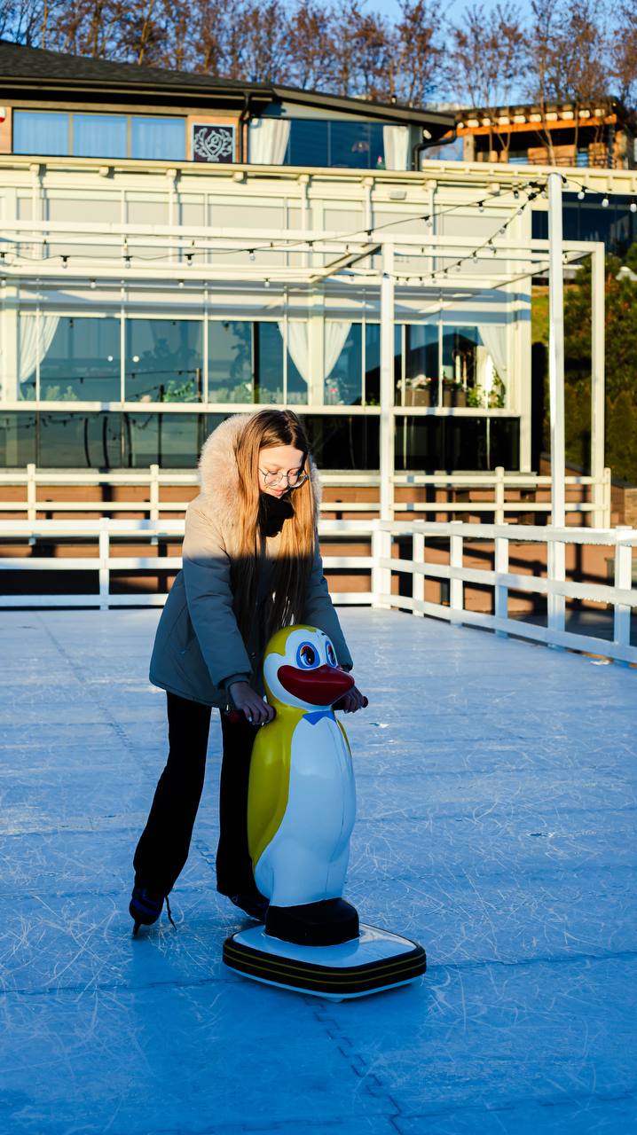 Фото ковзанки