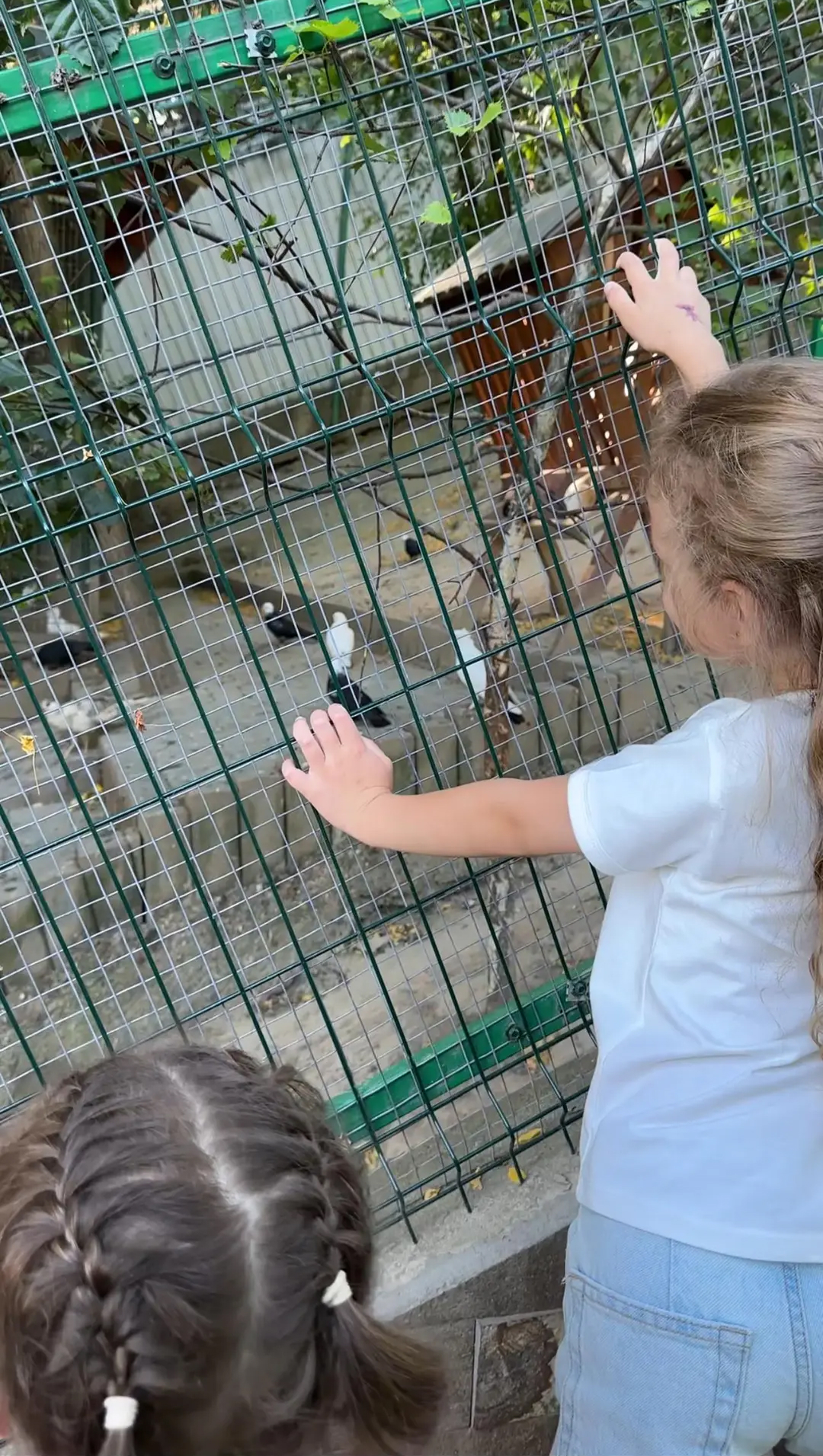 На території розташований зоопарк